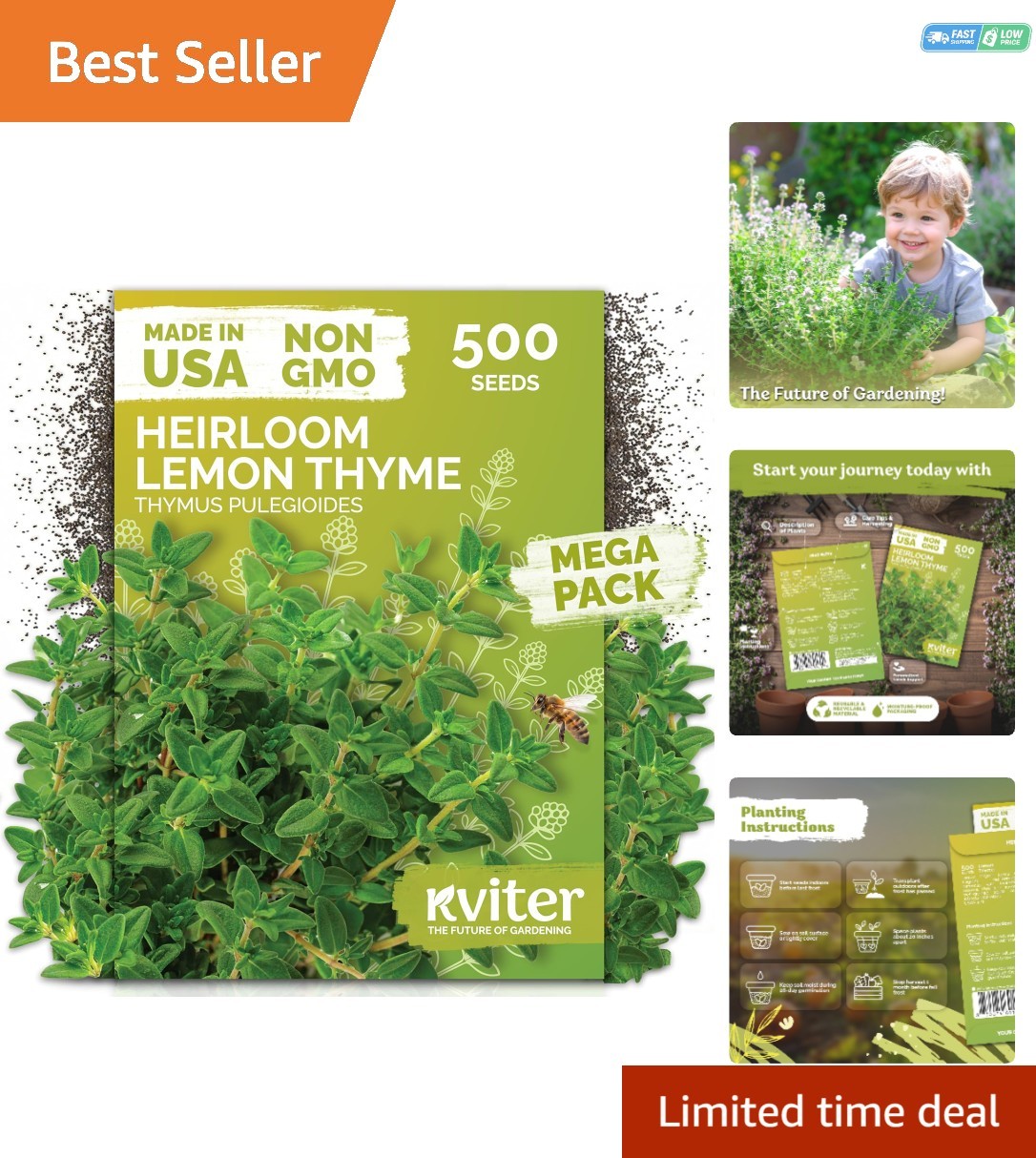 500 GMO-Free Lemon Thyme Seeds – Aromatic Ground Cover & Pollinator Friendly