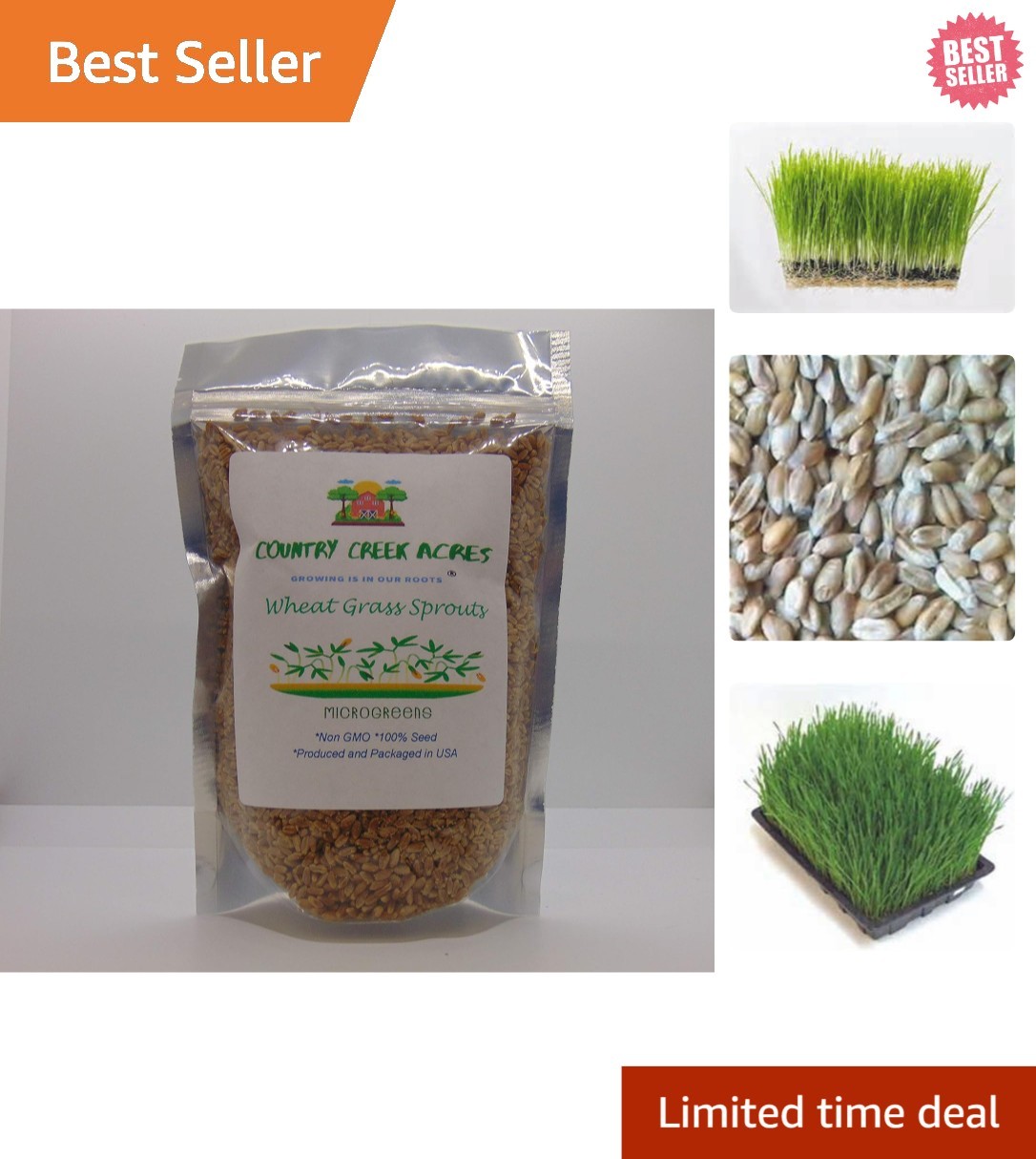 Edible 6 OZ Wheatgrass Seeds – Vitamins A & C Rich Microgreens for Gardens