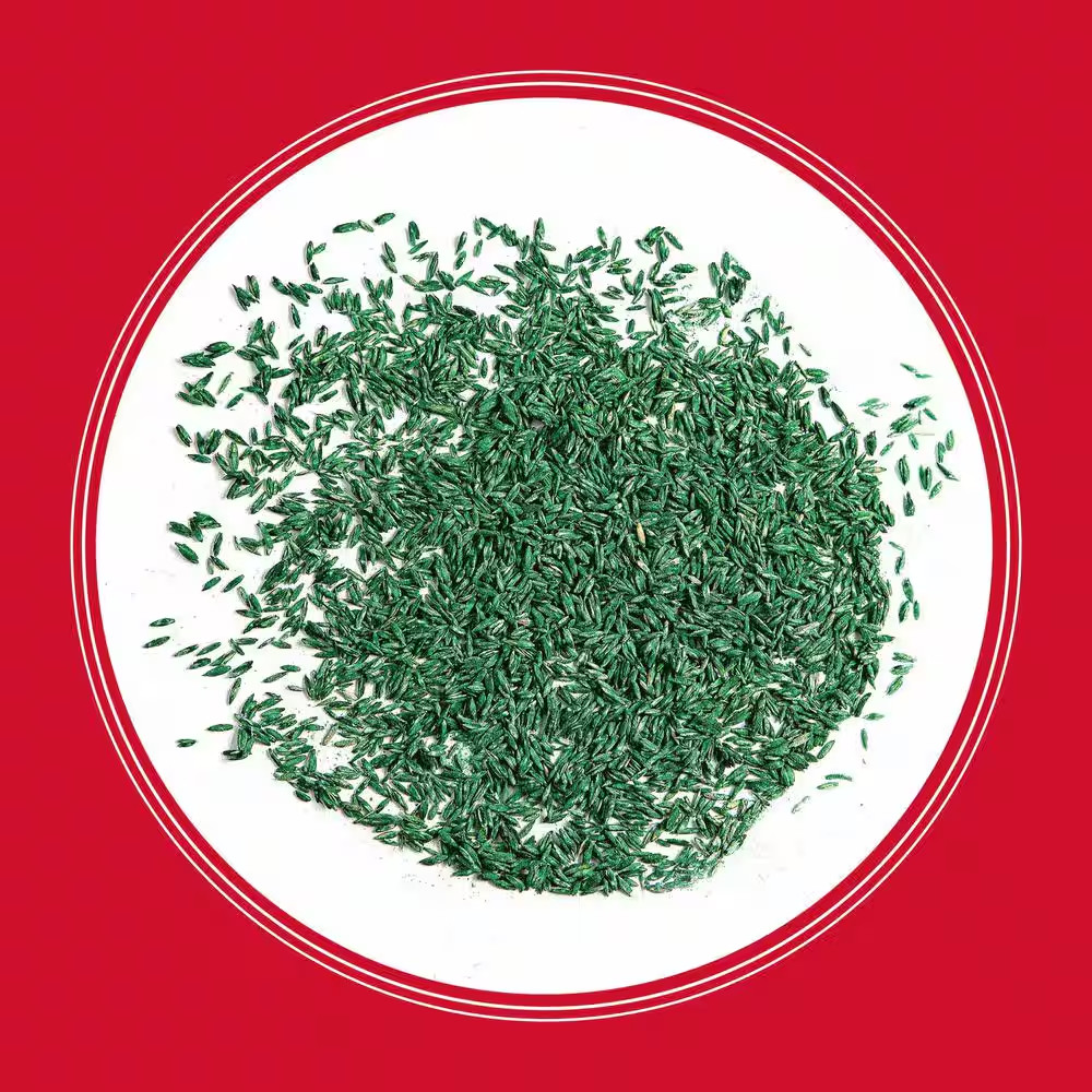 The Rebels 20 Lb. 5,000 Sq. Ft. Tall Fescue Grass Seed Blend Free Shipping
