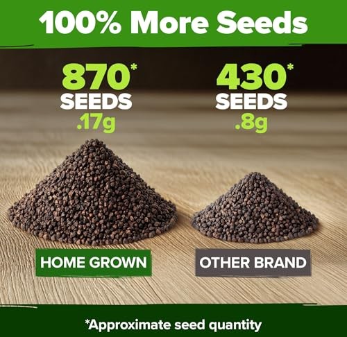 Mint Seeds Variety Pack – 870+ Heirloom Non-GMO USA Peppermint, Spearmint &