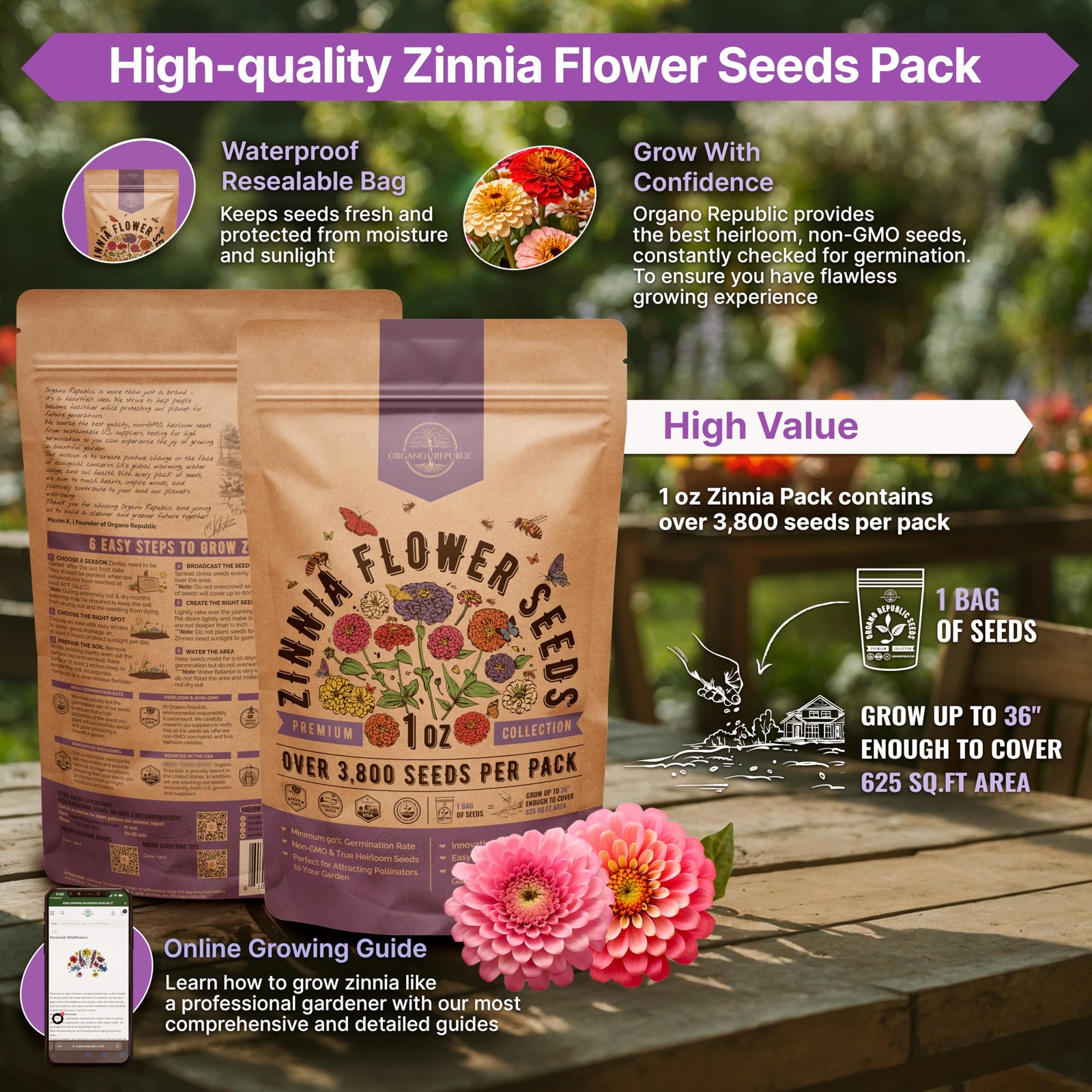 Over 3,800 — 1oz, Purple, Pink, Green, Orange Seeds