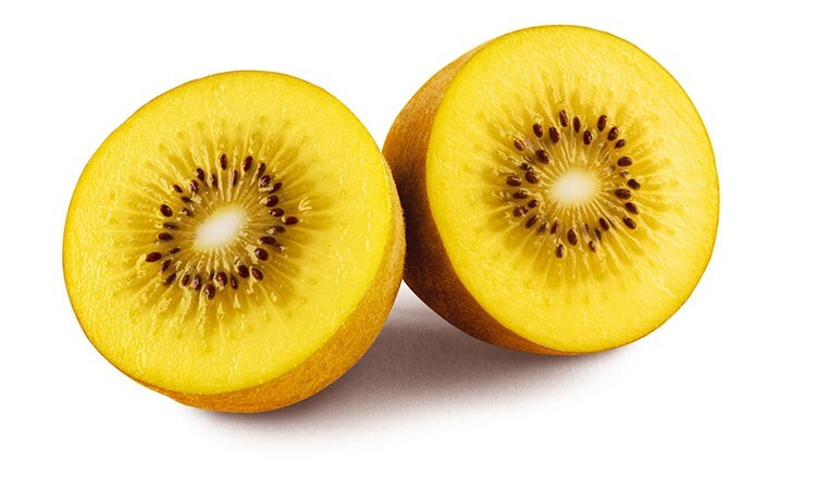 Sungold Golden Kiwi (50 seeds) / RARE / EXOTIC / DELICIOUS / Florida Grown