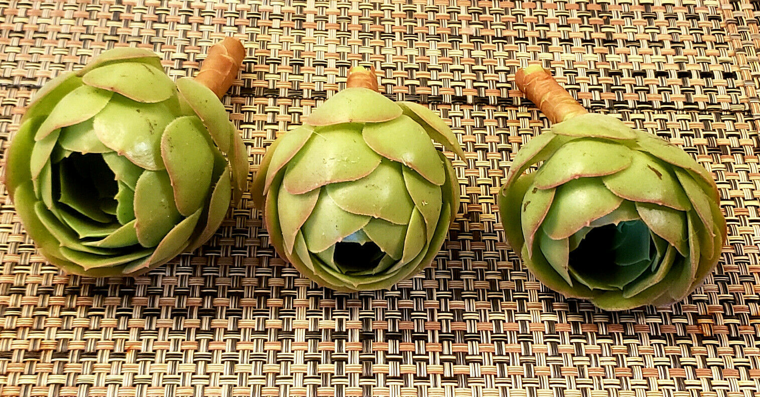 2 x AEONIUM SPP CUTTING – LOOKS LIKE A ROSE BUD – 2″ (= 5 CM) diameter