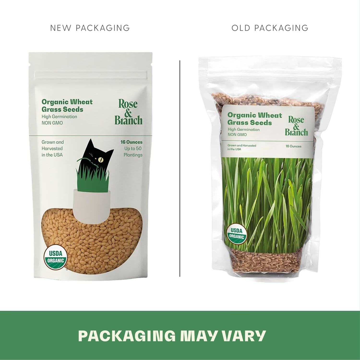 Healthy Wheat Grass Seeds for Pets & People – 16 Oz