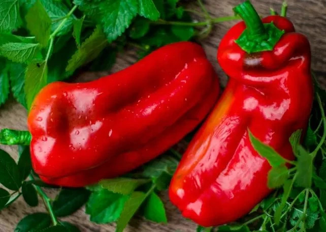 Giant Red Marconi Sweet Pepper Seeds. Ten (10) Untreated Seeds. Free Shipping!