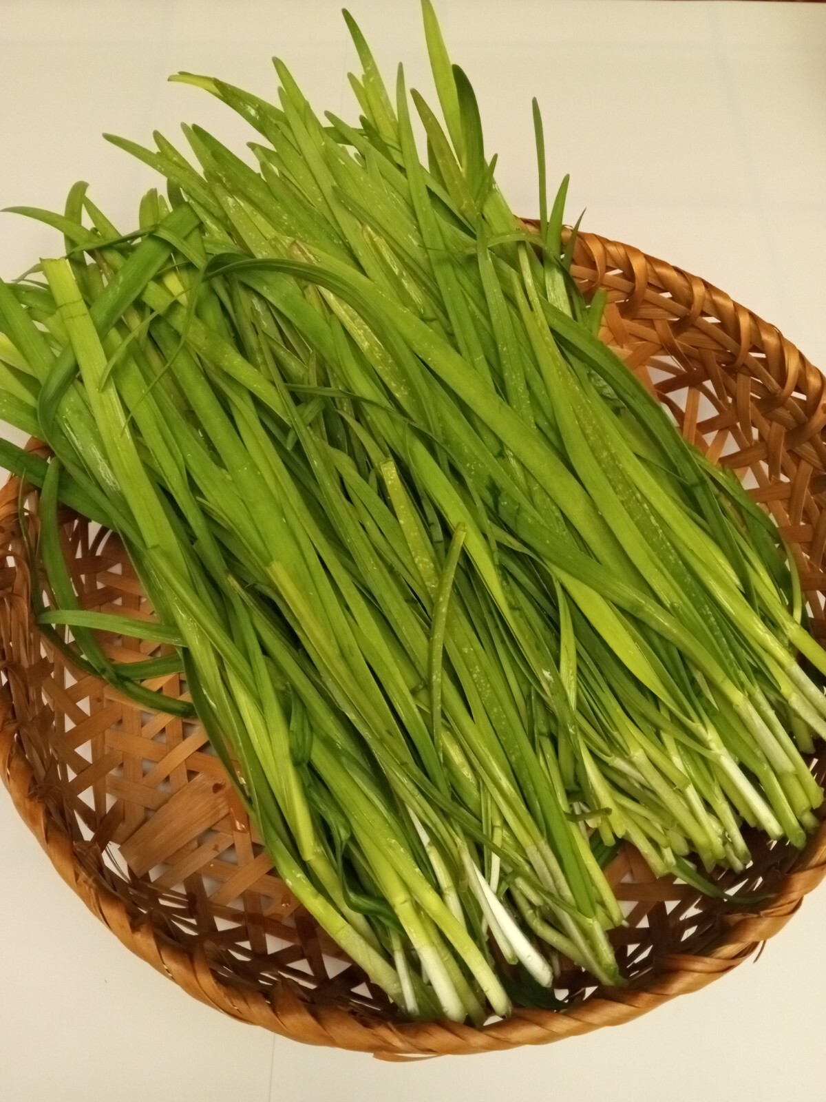 20 Garlic Chives 韭菜根 Live Organic Bare Root Hardy Perennial Herb – Ready to Grow