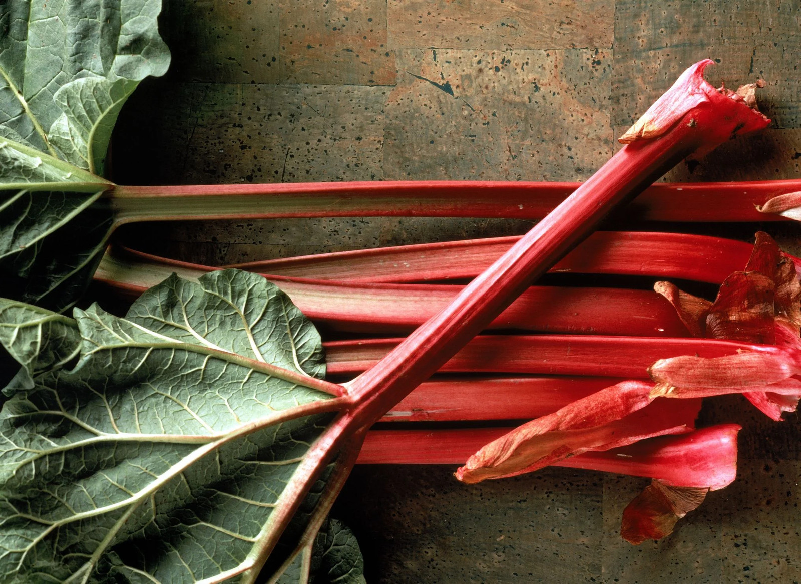 Victoria Rhubarb Seeds | USA Vegetable Red Perennial Seed 2024 Free Shipping