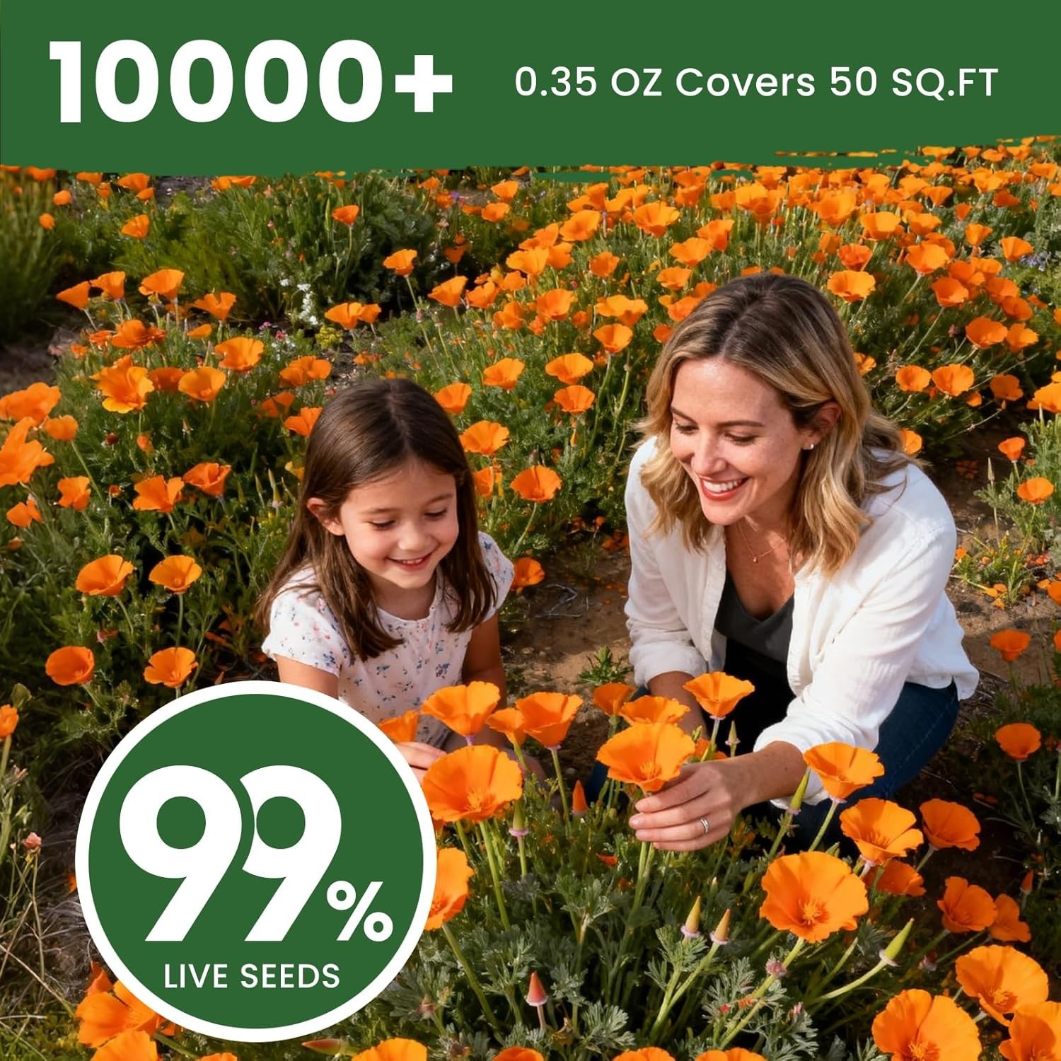 California Poppy Seeds for Planting, Orange Poppy Flower Seeds, Bulk 10,000+ See