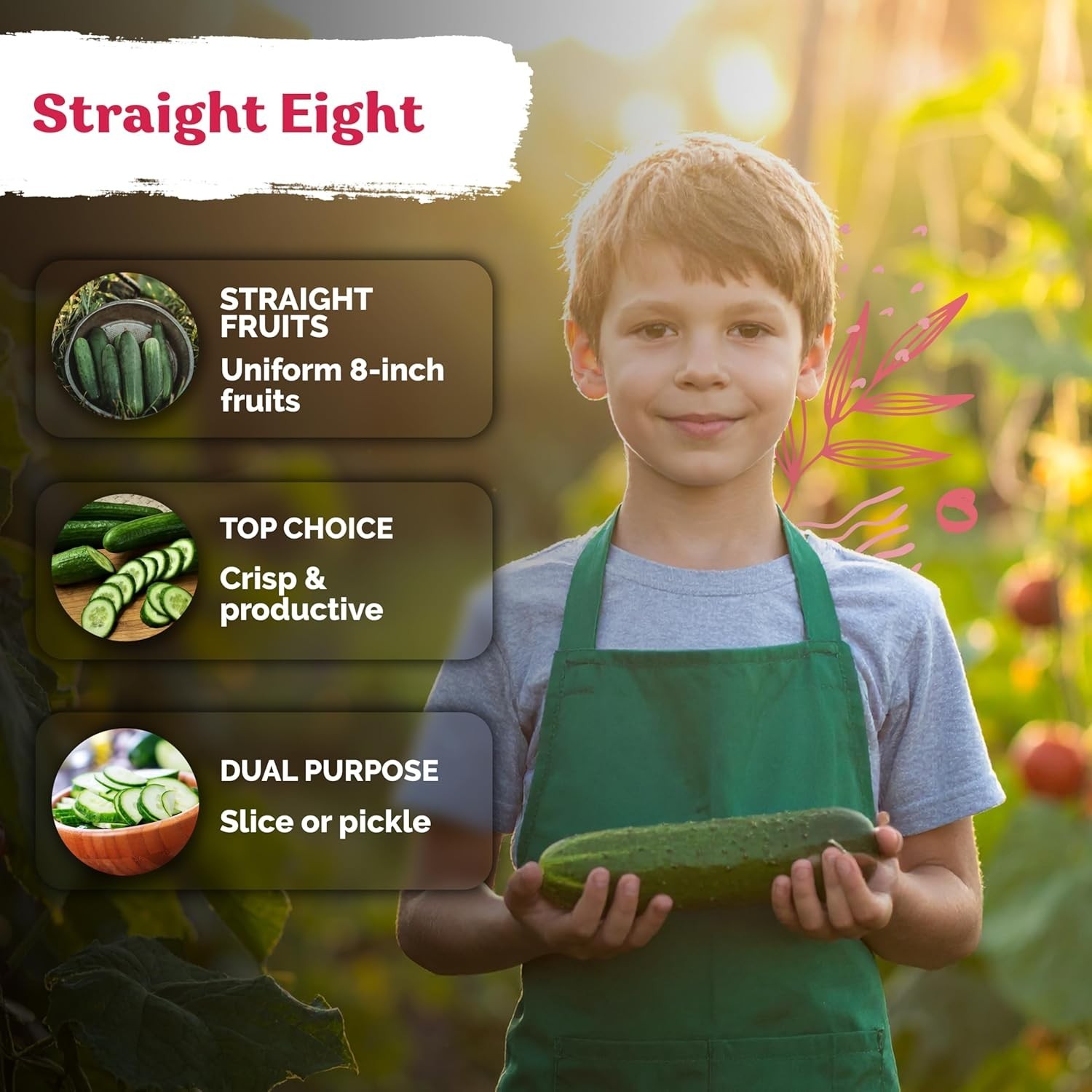 KVITER 150 Straight Eight Cucumber Seeds (Cucumis sativus) – Straight 8 Cucumber