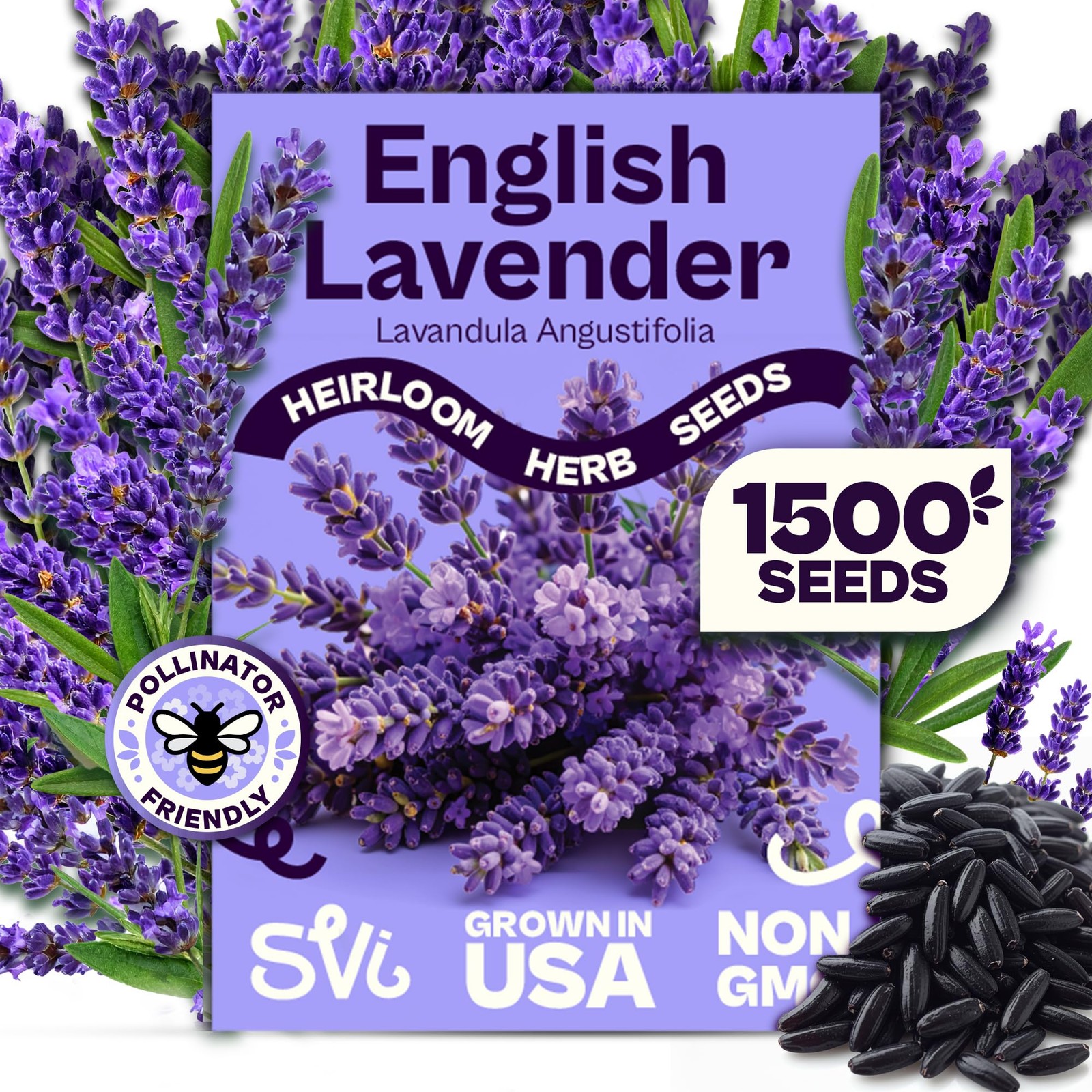SVI 1500 English Lavender Seeds for Planting (Lavandula angustifolia) – Blue