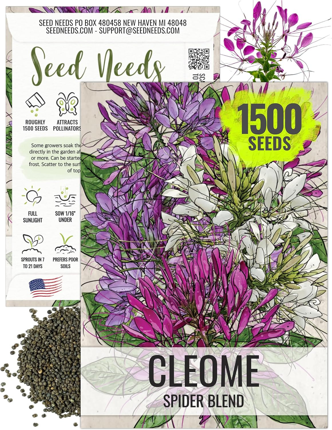 Cleome Seeds for Planting Spider Plants – Heirloom & Open Pollinated Wildflower