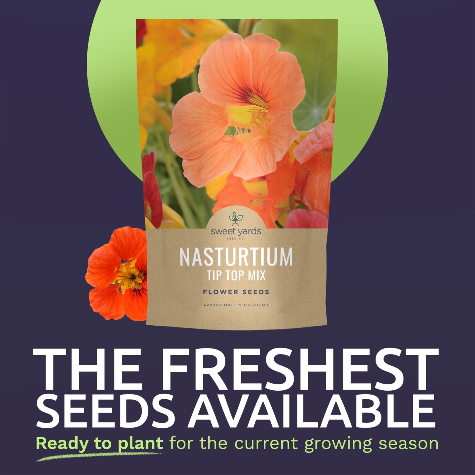 Nasturtium Seed Mix – 800 Flower Seeds for Planting – 4 Ounce Packet