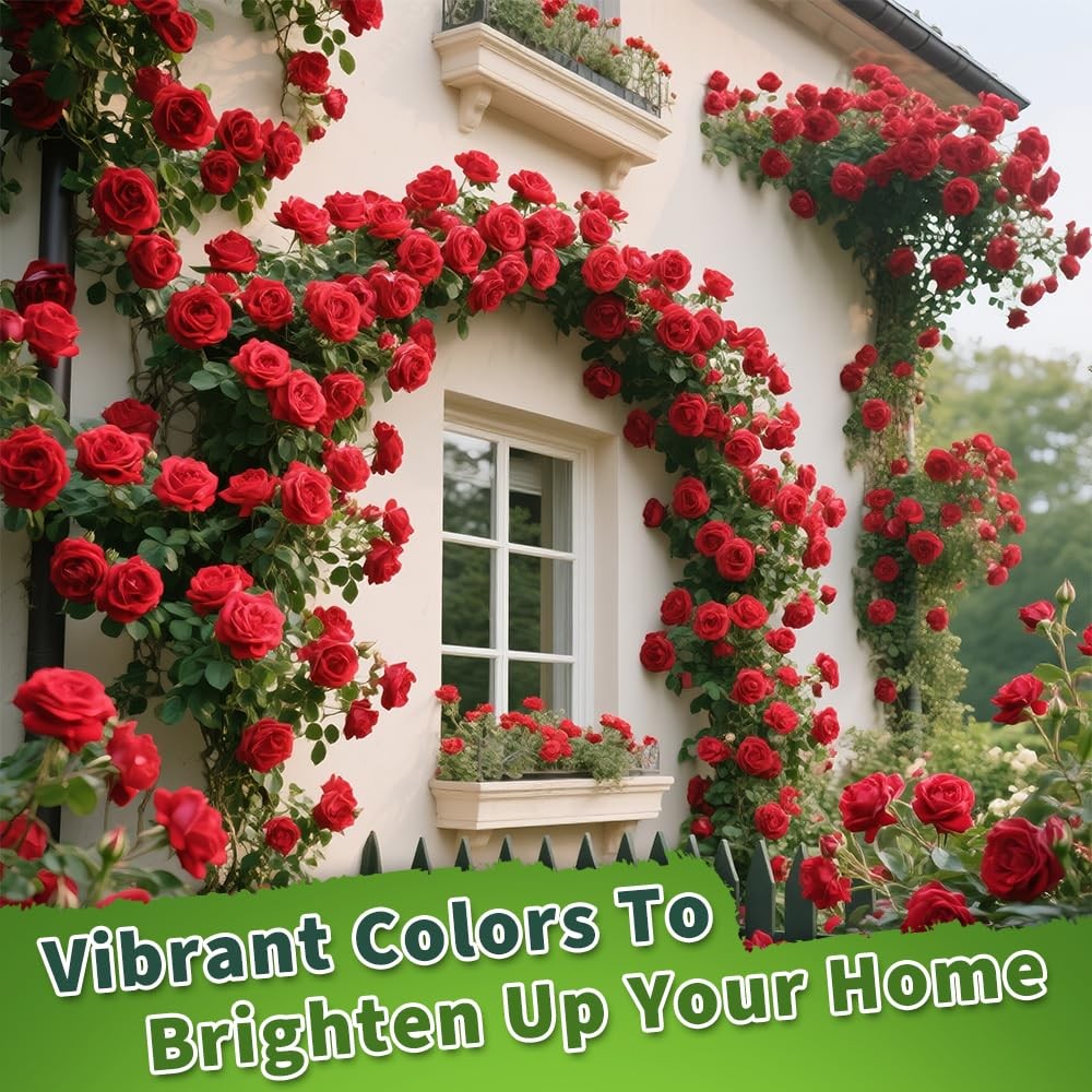 200+ Red Climbing Rose Seeds for Planting Outdoors Ornamental