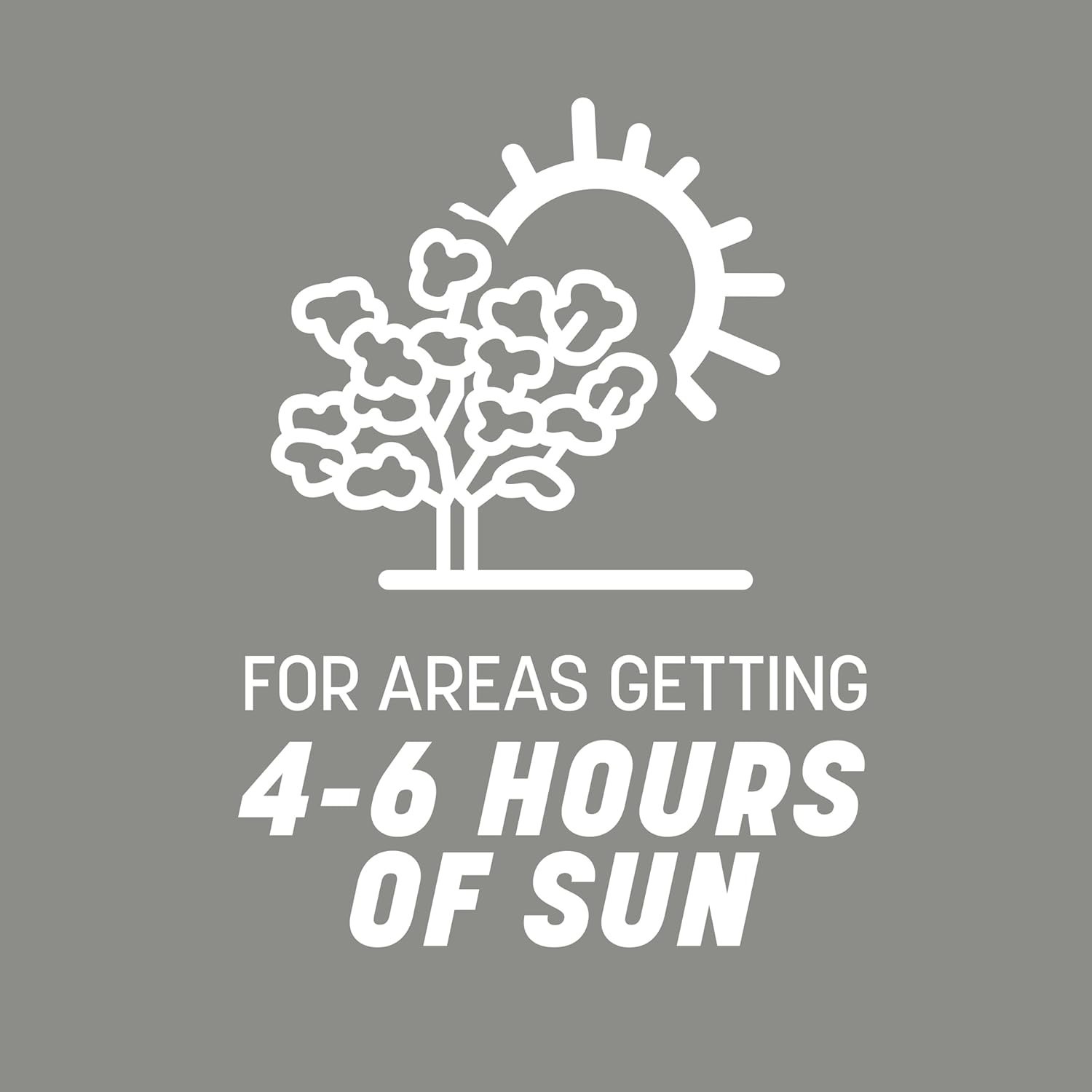 All-Purpose 40 lb Contractors Grass Seed Mix for Northern Sun-Soaked Lawns