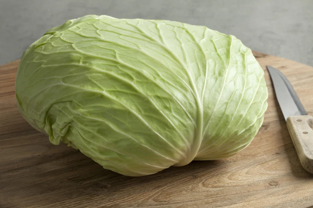 1000+ Late Flat Dutch Cabbage Seeds — Heirloom — NON GMO — FRESH