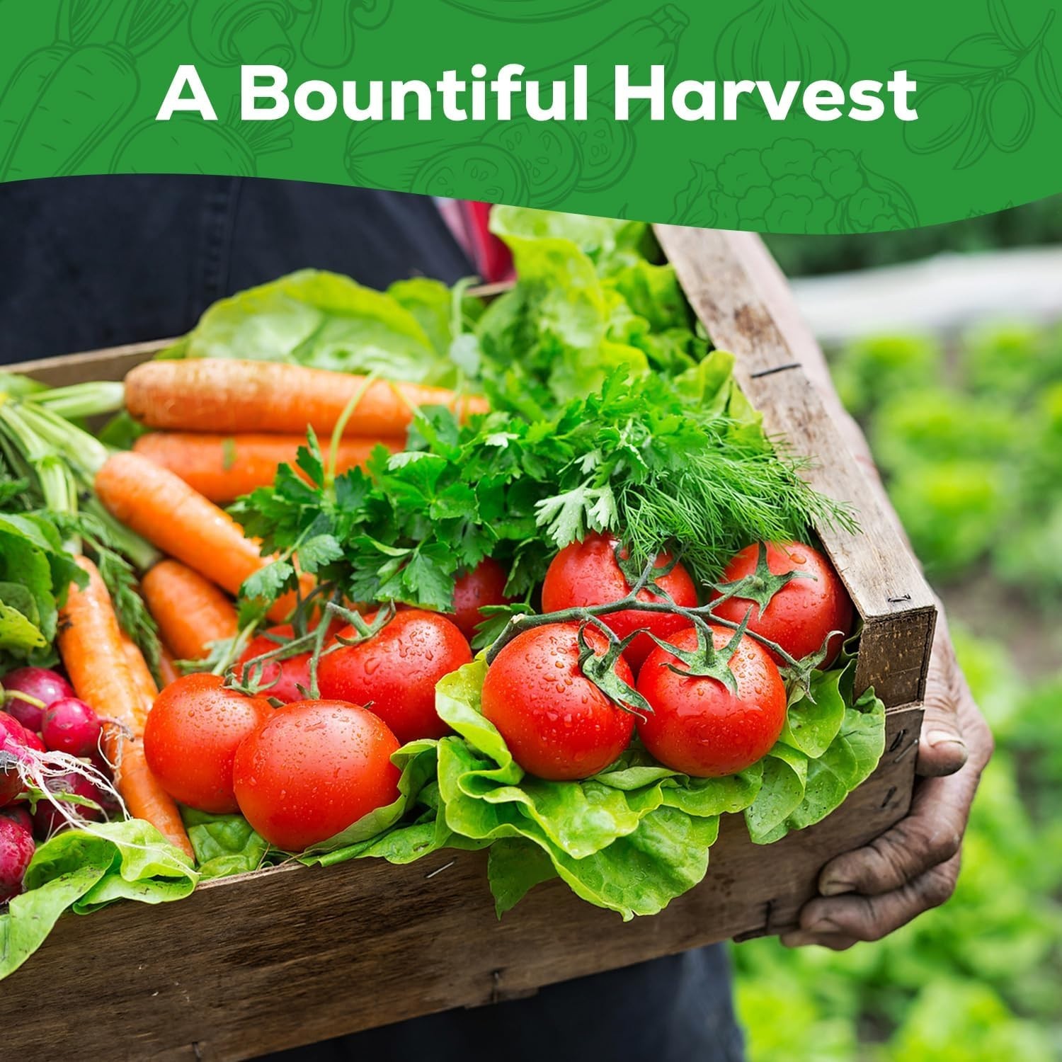 Heirloom Vegetable Seed Collection – 30 Non-GMO Seeds for Home Garden