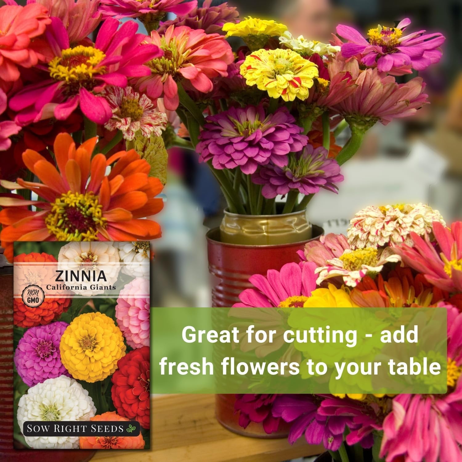 Pollinator-Friendly California Zinnia Seeds – Mixed Colors for Beautiful Blooms
