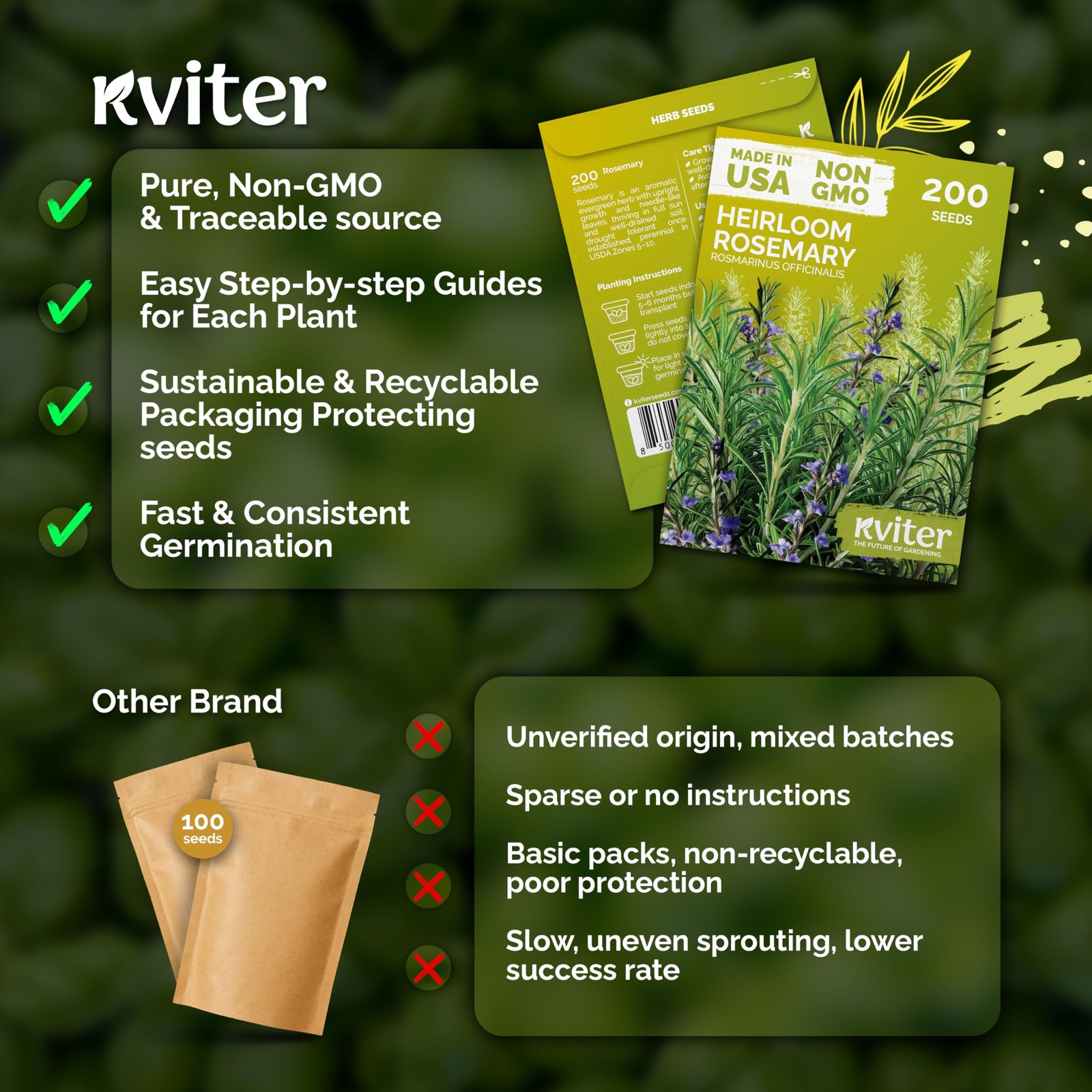 KVITER 200 Rosemary Seeds (Rosmarinus Officinalis)