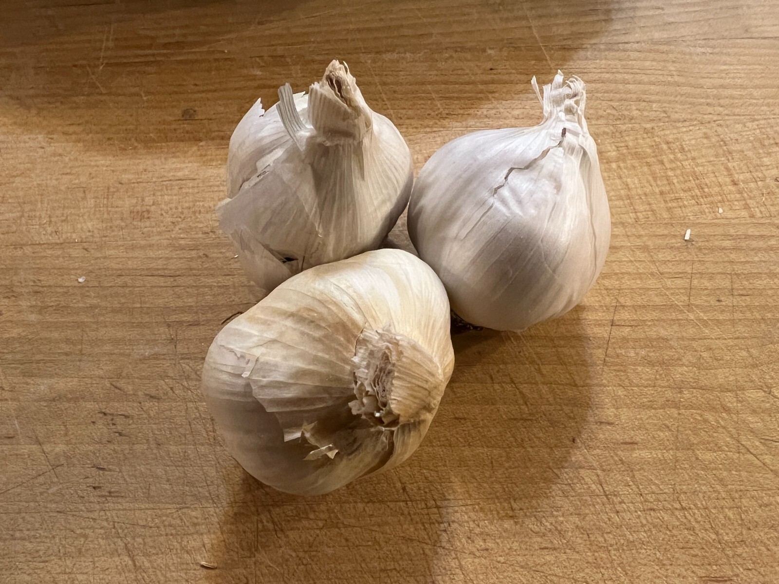 Non GMO Garlic Bulbs for Planting Or Eating 7 Pack (apprx 50-70 Cloves)