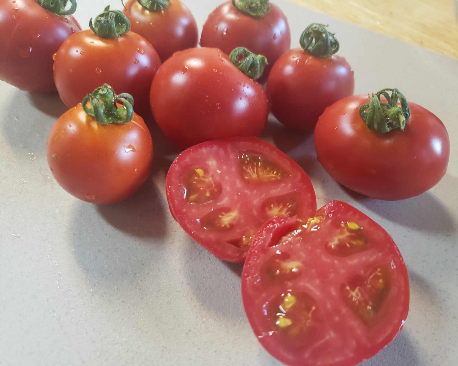 Tiny Totem Micro Dwarf Tomato (15 Seeds) – larger tomatoes for Micro!