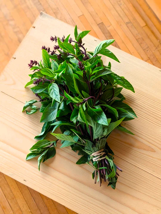 Thai Basil Seeds | Horapha Siam Queen USA Pho Asian Herb Seed 2024 Fast Shipping