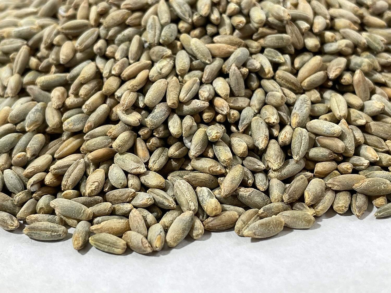 Fresh Rye Berries | 5 Pound Bag | High in Fiber and Iron – Made in USA