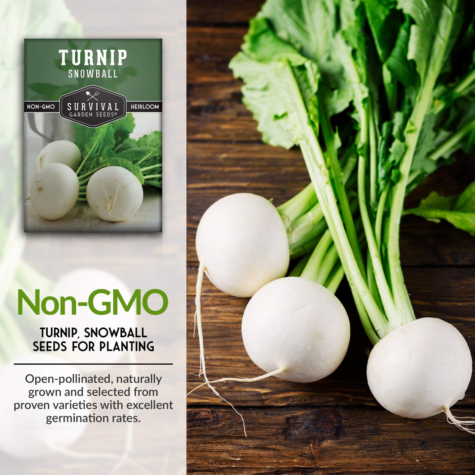Heirloom Turnip Seeds Snowball White, NonGMO for Fall & Spring Gardens 3