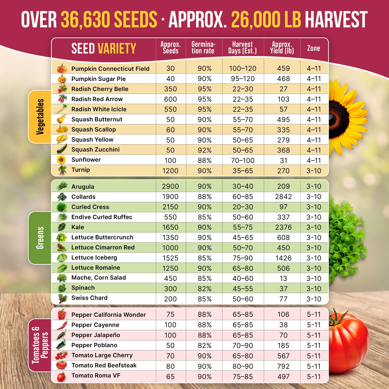 55 Vegetable Seeds Variety Pack – 35,600+ Non-GMO Green, Red, Purple, Yellow