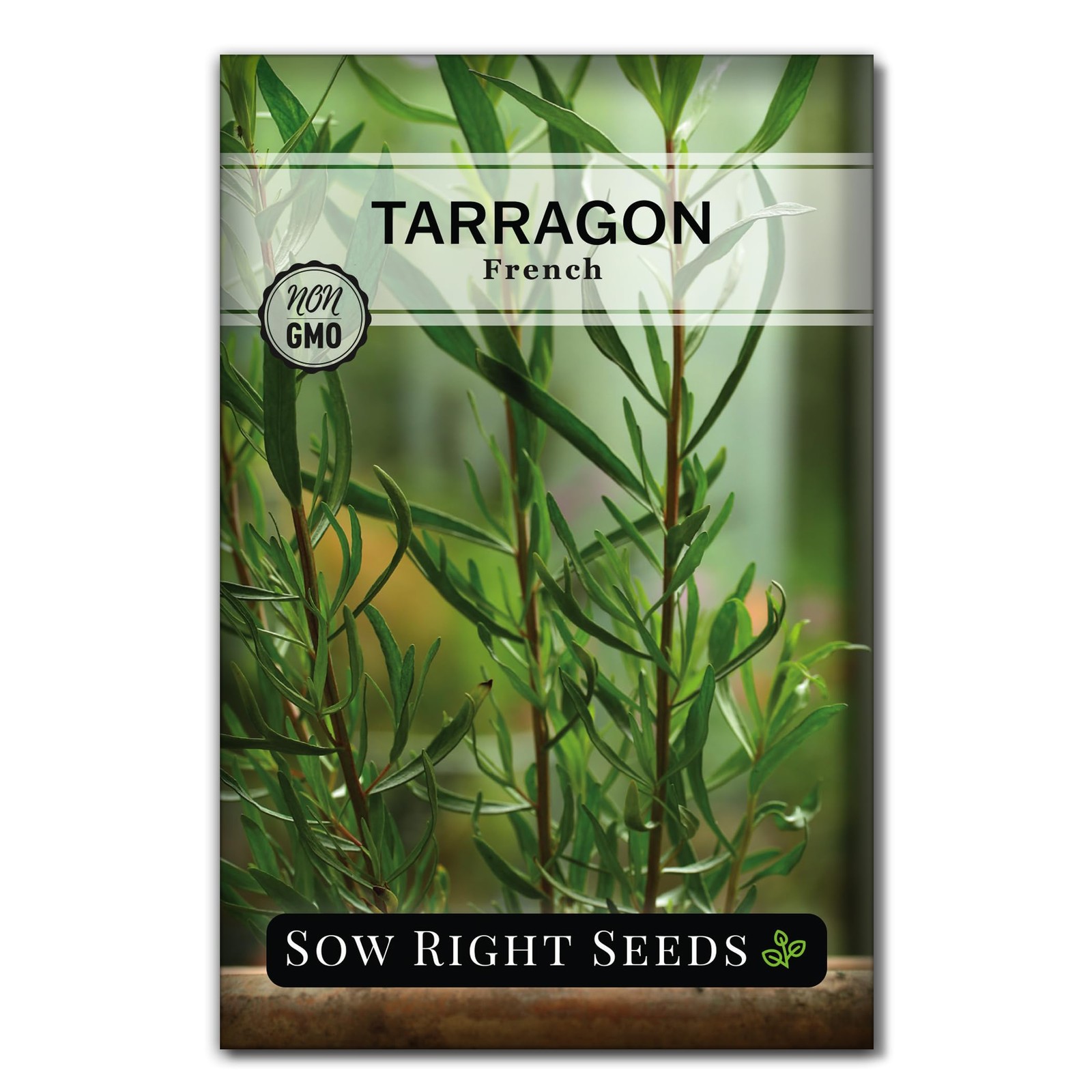 Sow Right Seeds – French Tarragon for Planting – Non-GMO Heirloom green