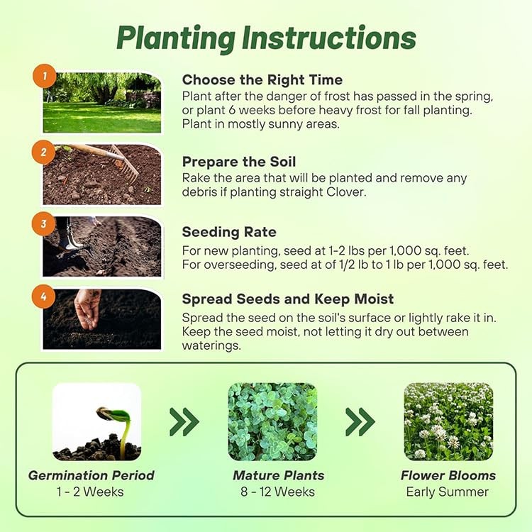 White Dutch Clover Seed 5 lbs – Nitrocoated, Inoculated for Lawns & Ground Cover