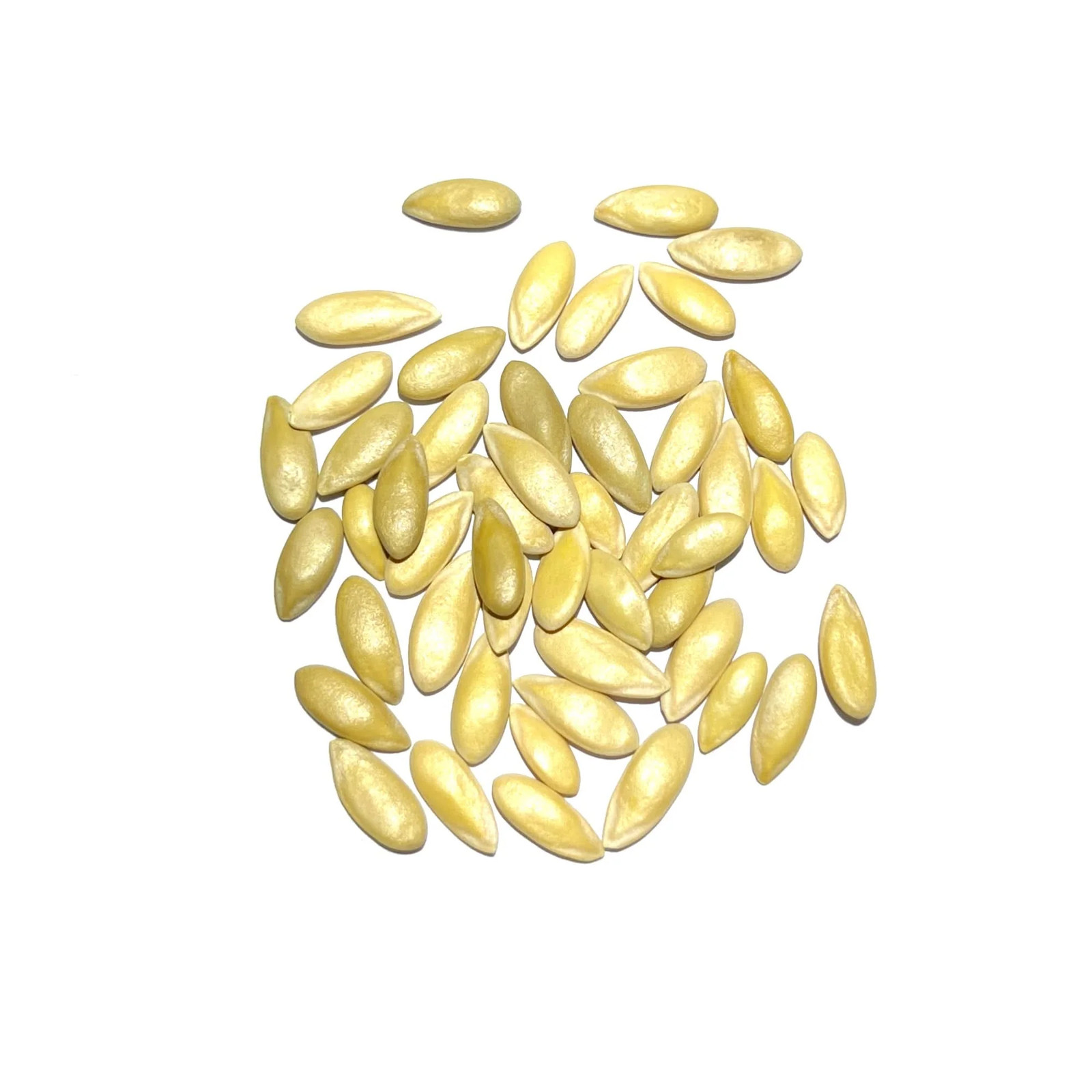 Planters Jumbo Melon Seeds For Planting (Cucumis melo)