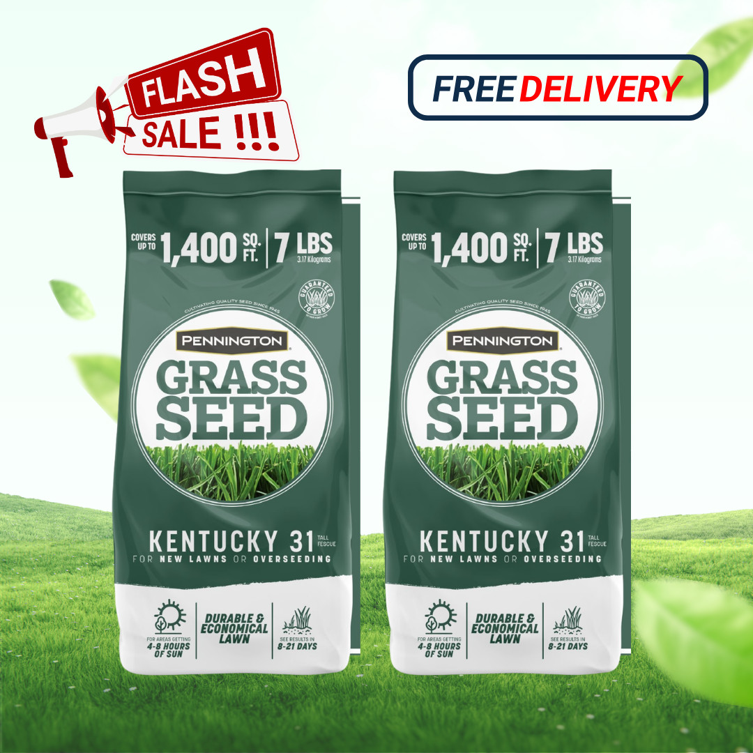 [FASH SALE] Pennington Kentucky 31 Tall Fescue Grass Seed Sun/Partial Shade 7 lb