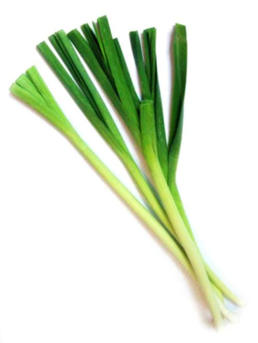 500 CHINESE LEEK ( Oriental Garlic Chives ) Allium Tuberosum Vegetable Seeds