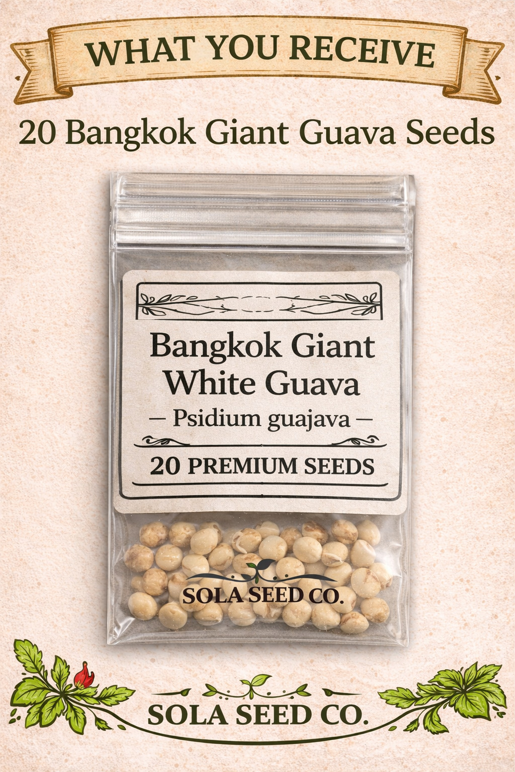 20 Bangkok Giant White Guava Seeds – Grow Huge Crisp Tropical Guavas