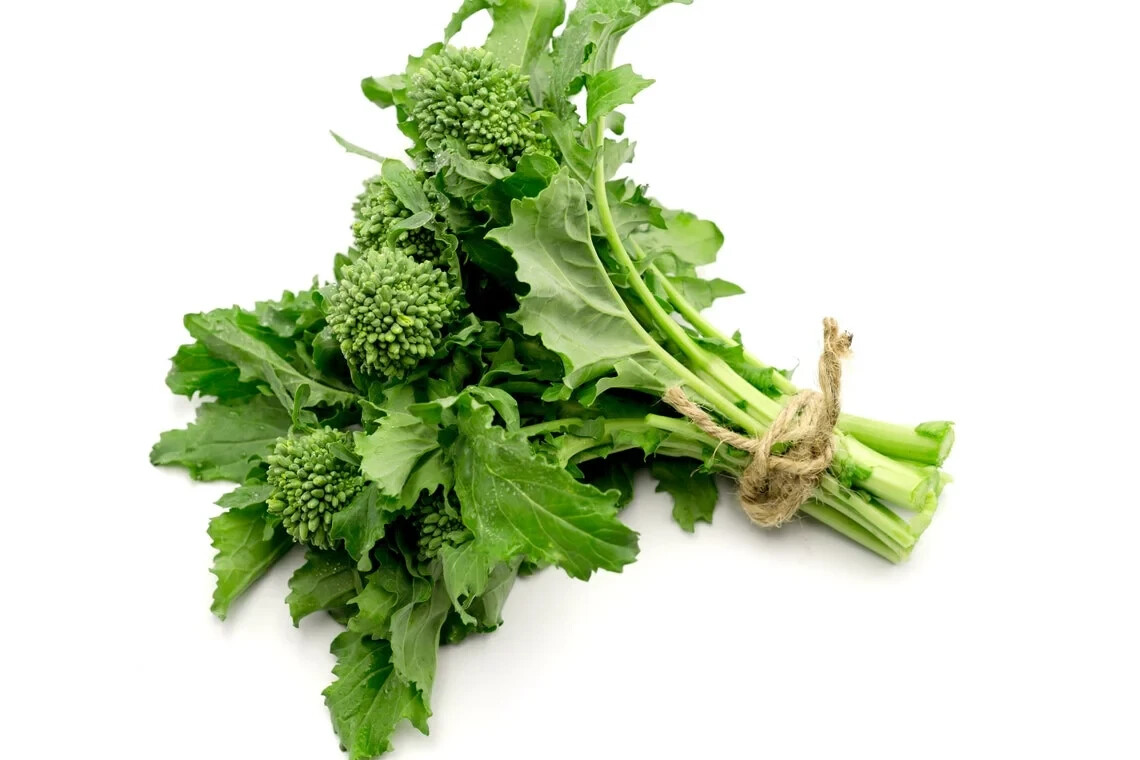 Broccoli Raab organic seed NON-GMO heirloom open pollinated