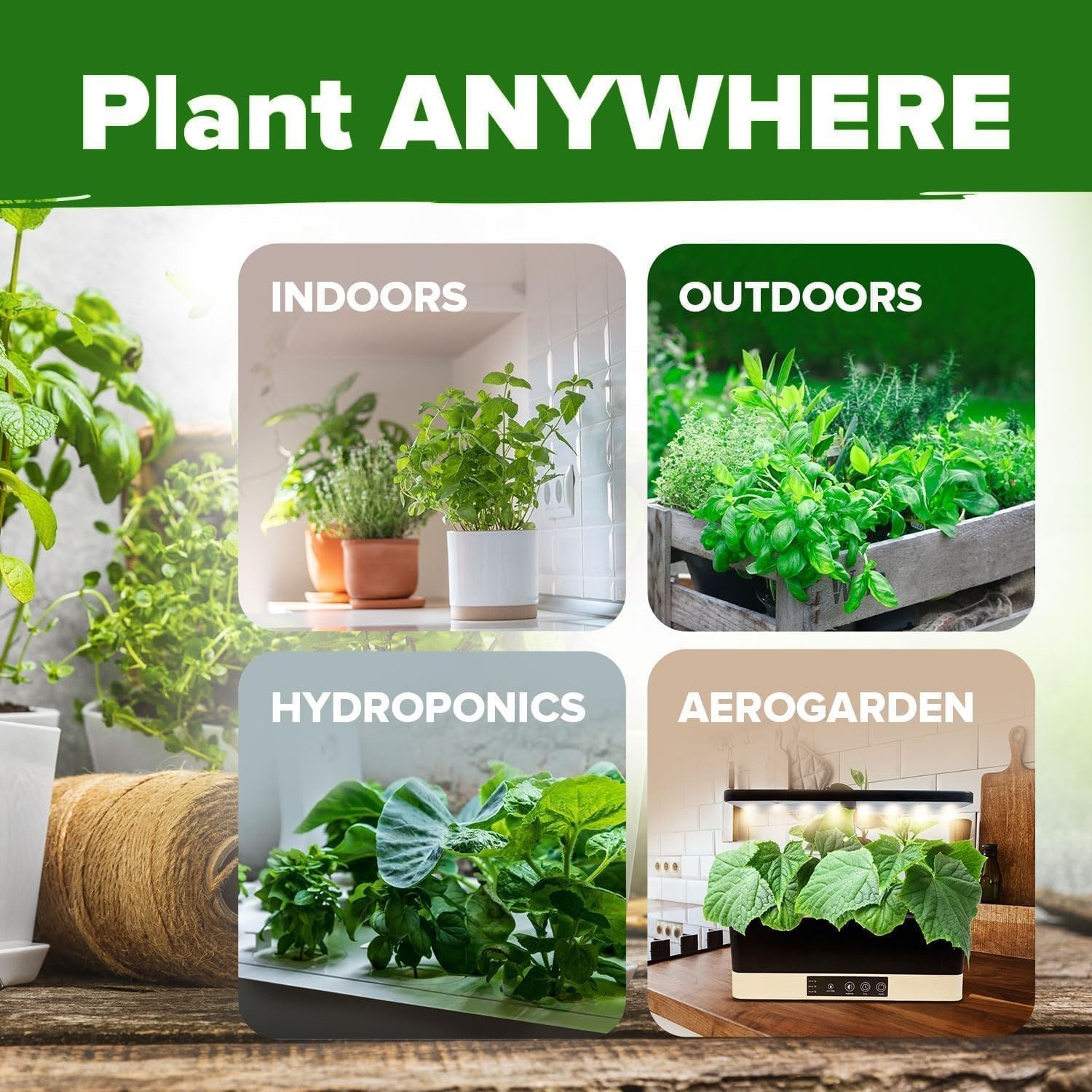 Pollinator-Friendly Herb Seed Set for Spring & Summer Planting – Low Maintenance