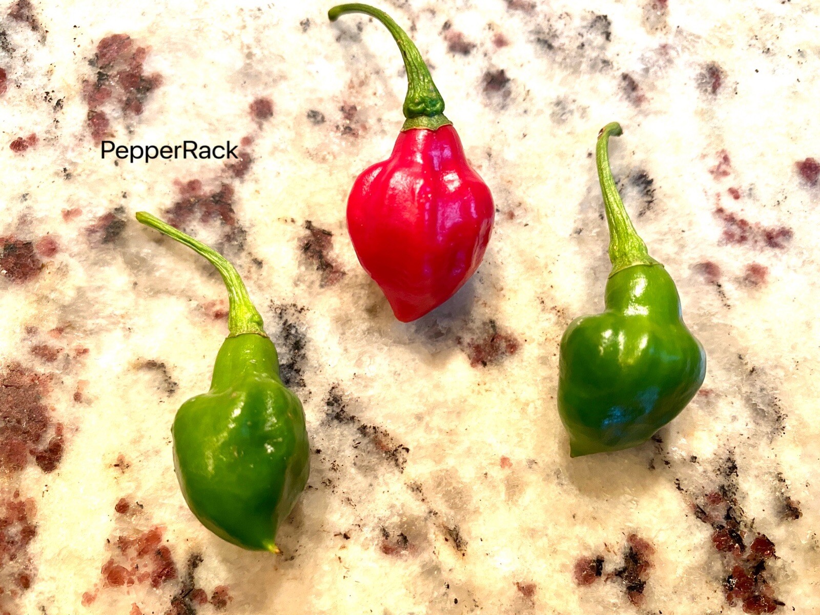 RARE✿ Heirloom Piaozinho Chili Pepper 10 Seeds ●Productive