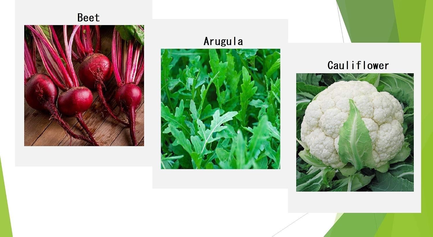 Winter Vegetable Seeds Collection for Planting Organic Non-GMO Heirloom Seeds…