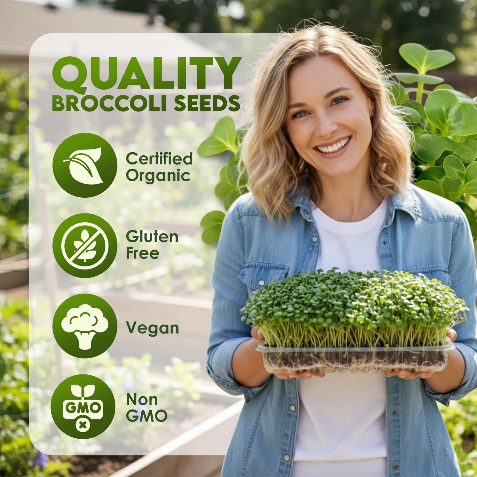 Organic Broccoli Seeds for Sprouting – Certified Non-GMO, Rich in Sulforaphan…