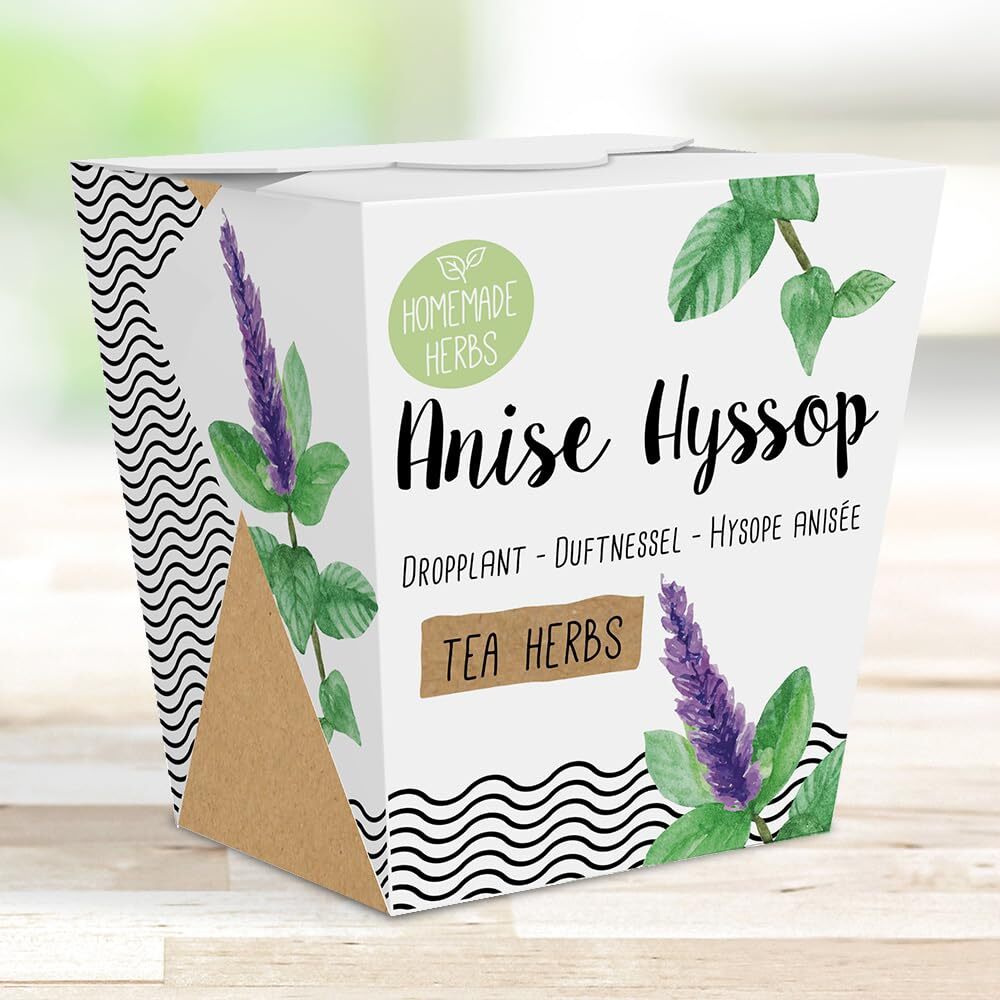 Homemade Herb Kit – All-in-One Anise Hyssop Growing Kit – Indoor Garden Planter