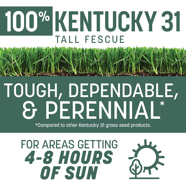 Pennington Kentucky 31 Tall Fescue Lawn Grass Seed 20 lb Drought Resistant
