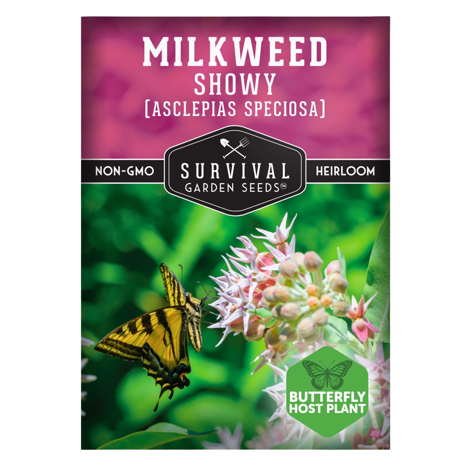Showy Milkweed Seeds for Planting | Asclepias speciosa | Monarch Pink