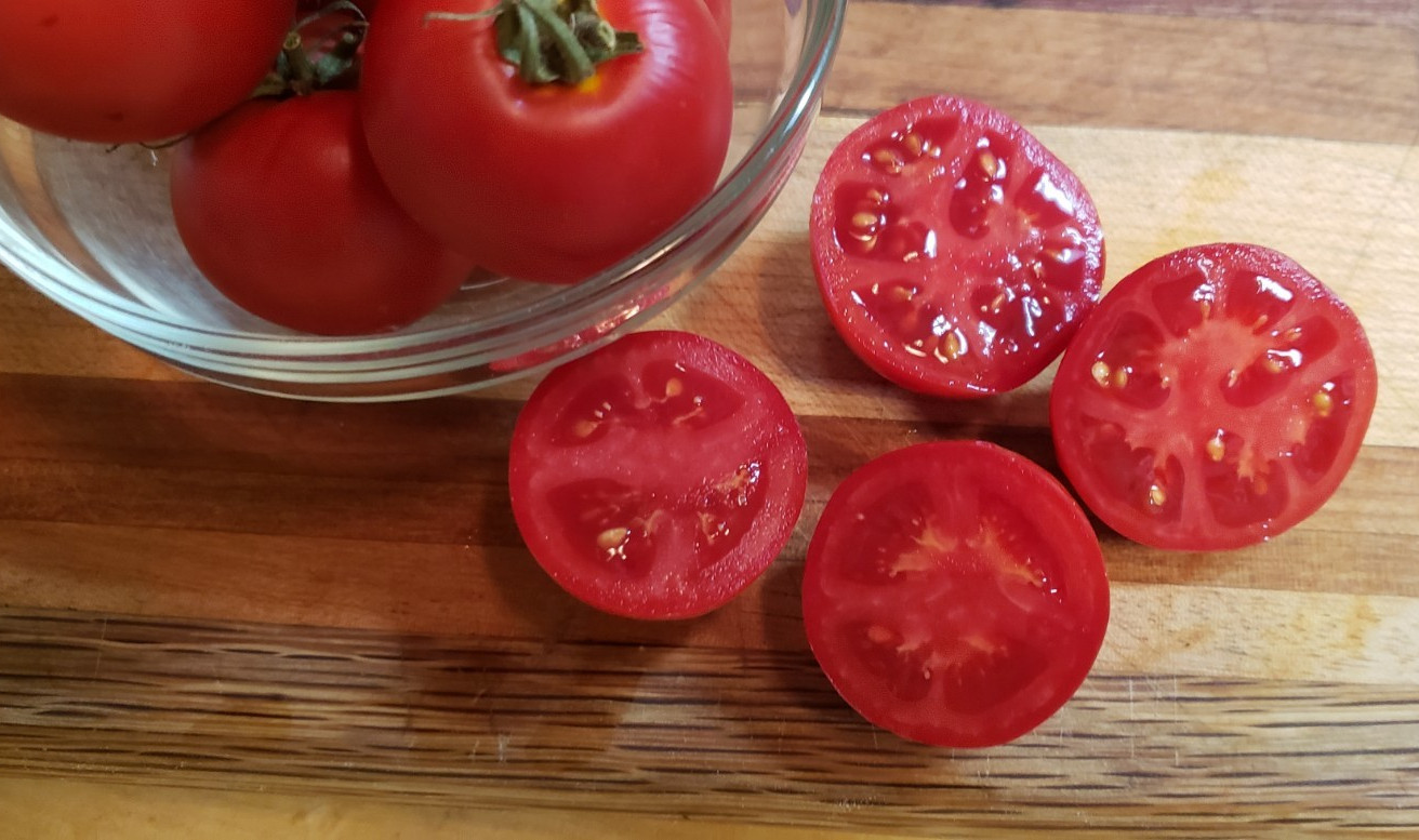 Tiny Totem Micro Dwarf Tomato (15 Seeds) – larger tomatoes for Micro!