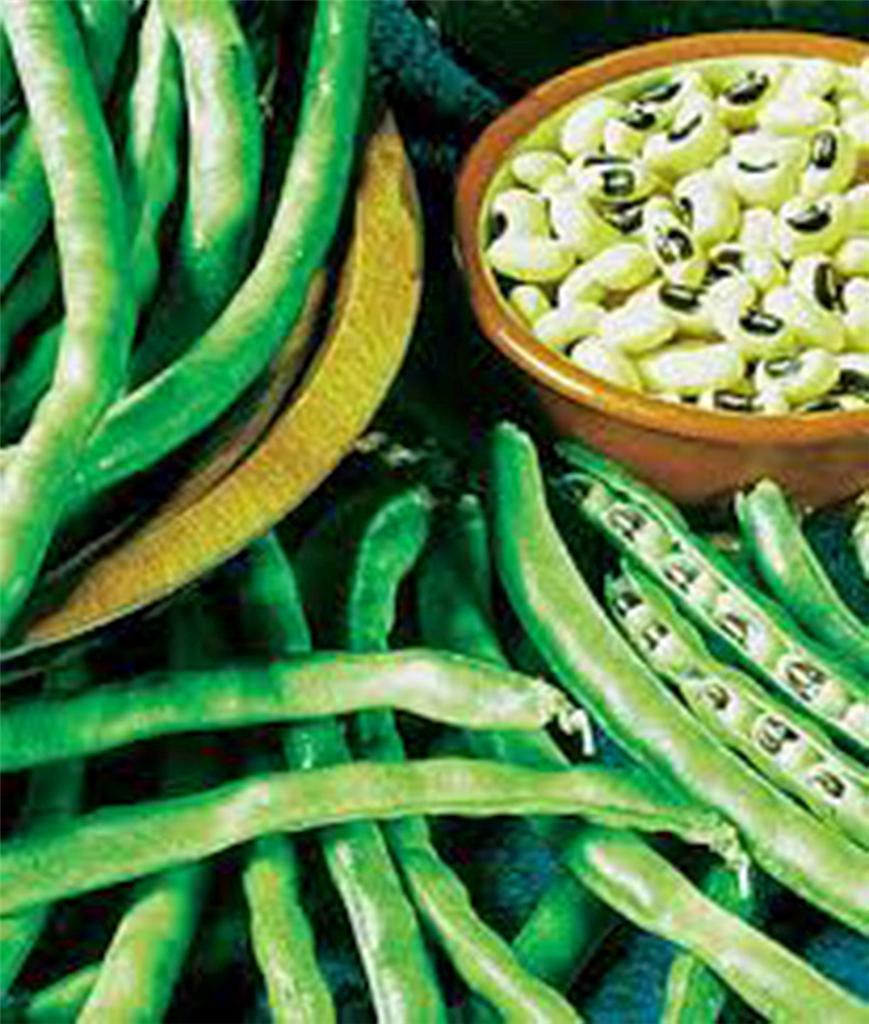 PEA SEED, CALIFORNIA BLACK EYE PEAS, HEIRLOOM, NON GMO, 100 SEEDS, PEAS