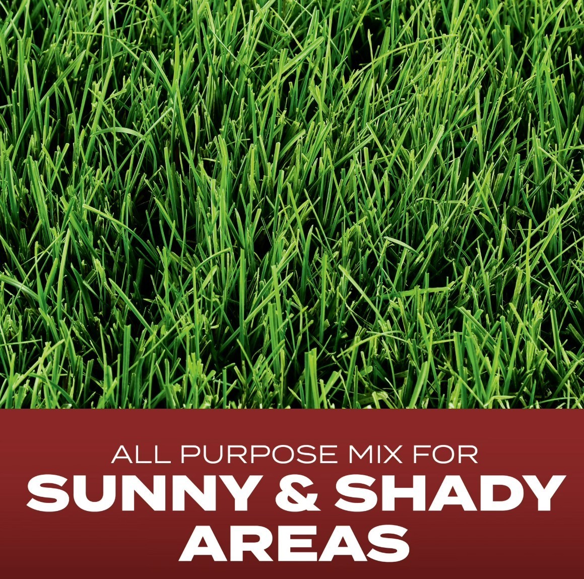 [FASH SALE]Scotts Turf Builder Commercial Mix Grass Seed 7 lb Sun & Shade 2 Pack