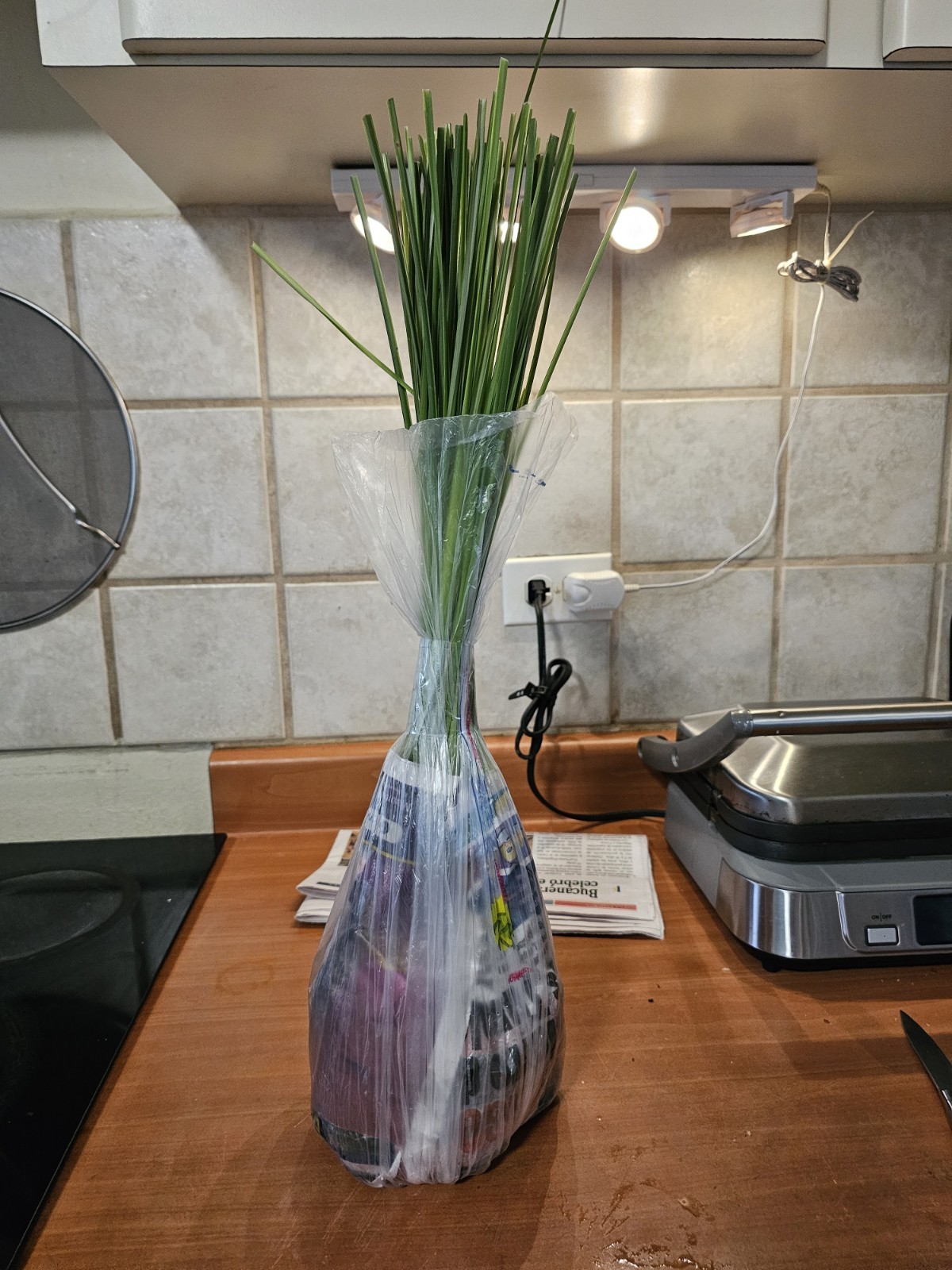 Vetiver live plant for EROSION CONTROL & Ornamental use