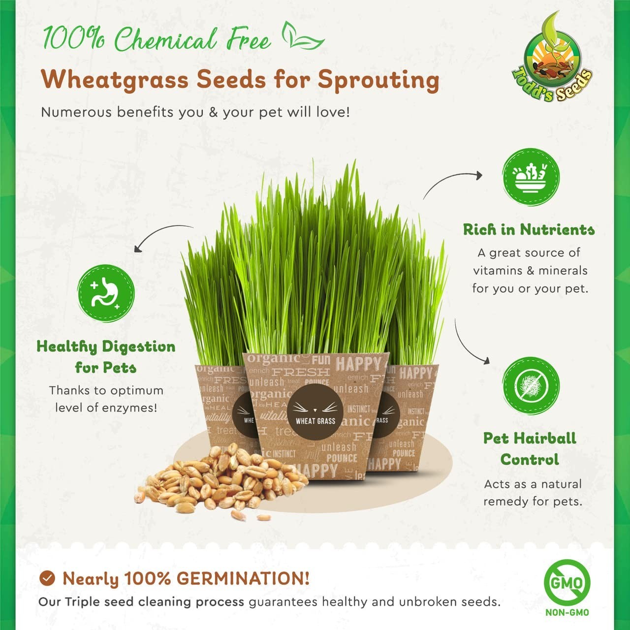 Non-GMO Hard Red Winter Wheatgrass Seeds – Chemical Free, High Germination (5 lb