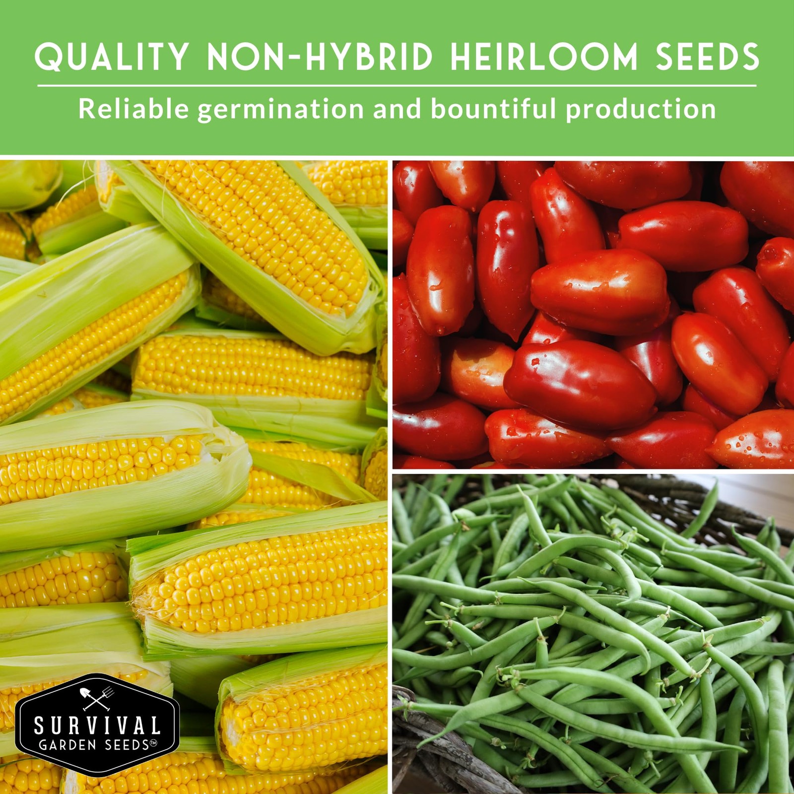 Survival Garden Seeds Garden Staples Seed 25 Heirloom Non-Gmo Varieties For