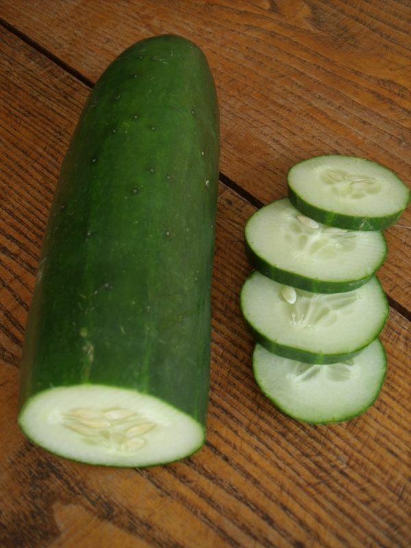 30+Marketmore 76 CUCUMBER Seeds Organic Vegetable Garden Patio Container Easy