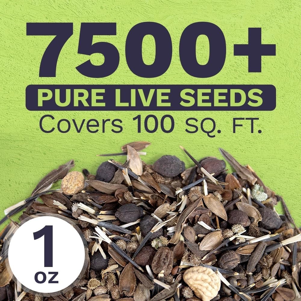 Large 1 Ounce Wildflower Seed Mix – 23 Perennial & Annual Species for Gardens